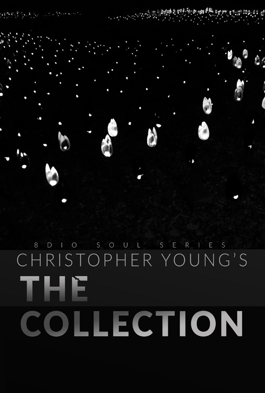 Chris Young The Collection