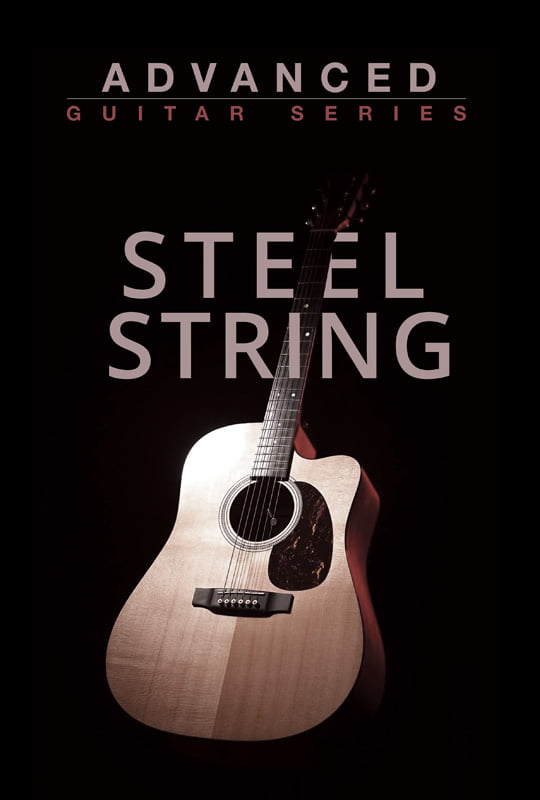 Advanced Guitar Series: Steel String